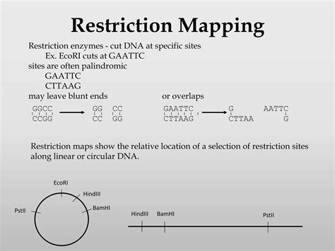 Gene mapping