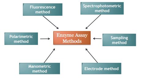 Enzyme Activity Assay Service | Medicilon