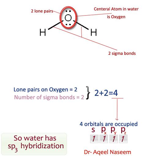 [Best Answer] what is the hybridisation of H2O - Brainly.in