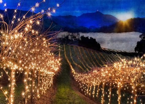 christmas events in temecula | Temecula Valley Winegrowers Association