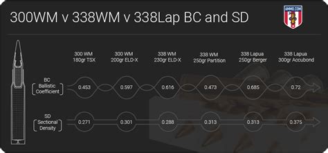 300 Win Mag vs. 338 Win Mag vs. 338 Lapua Mag: It’s Magnum Time ...