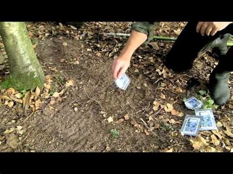 How To Plant English Wild Bluebell Seeds at Farnell Farm - YouTube