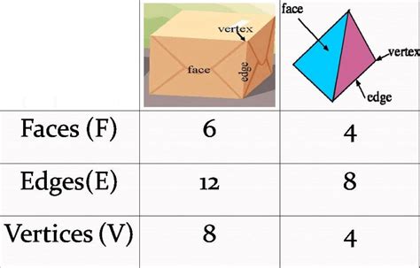 Shapes Vertices Edges Faces