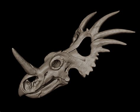 Styracosaurus Skull on Behance