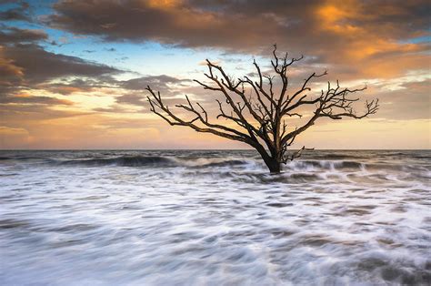 Botany Bay Edisto Island SC Boneyard Beach Sunset Photograph by Dave ...