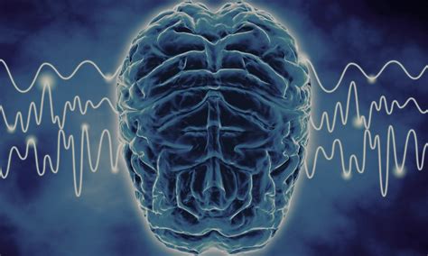 Brain wave patterns show just how deep our biases run