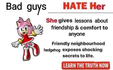 Amy rose 🦔💕 | Sonic funny, Amy rose, Sonic