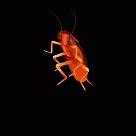 Dancing Cockroach Rainbow GIF – Dancing Cockroach Rainbow – discover ...