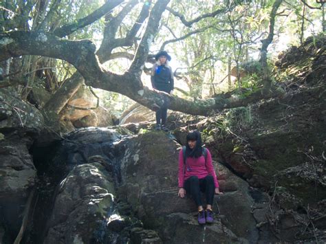 Drakensberg hiking trails - the very best of the Berg - Antbear Lodge