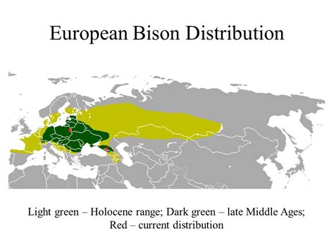 European Bison Distribution. : r/awfuleverything