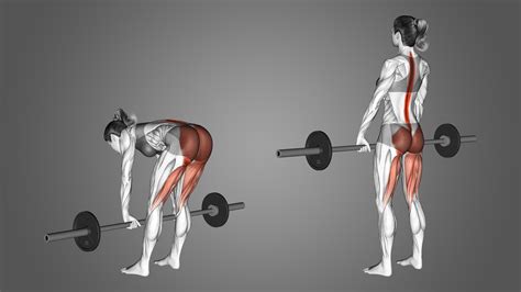 Straight Leg Deadlift Form