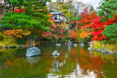 Guide to Maruyama Park | See Cherry Blossoms & Explore Gion in Kyoto