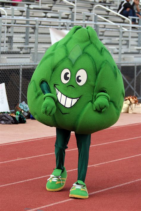 Artie the Artichoke (Scottsdale Community College) | SportsMascots ...