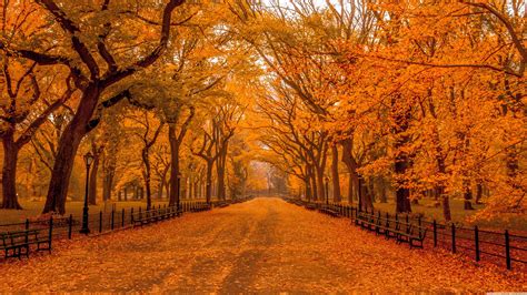 Beautiful Autumn Scenery Wallpapers - Wallpaper Cave