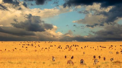 Let's travel the world!: Serengeti National Park