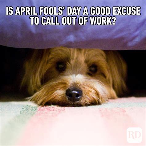 35 Funniest April Fools' Memes of 2024: Funny April Fools' Day Memes