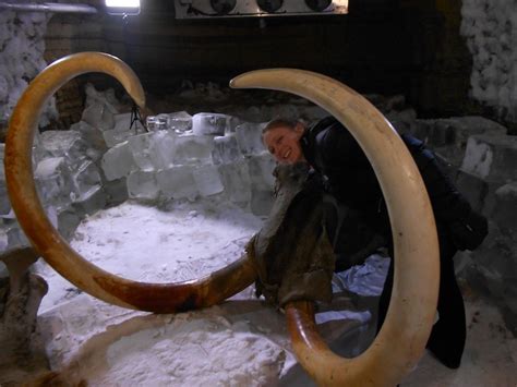 Cloning a Woolly Mammoth Is an Actual, Ongoing Science Project