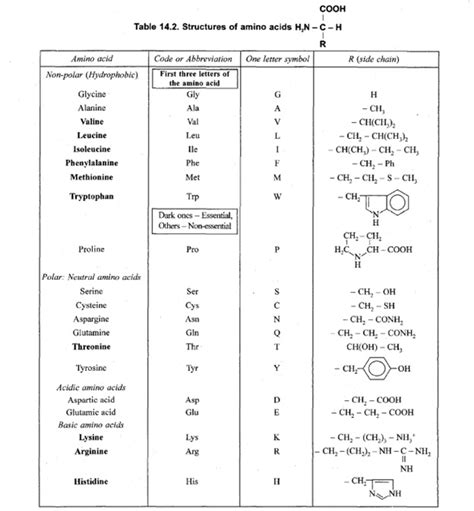 Essential and Non-essential Amino Acids - Km Chemistry