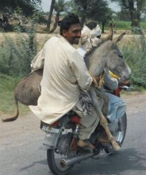 21 Pictures Of Things That Happen Only In India | Funny pictures, India ...