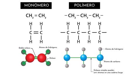 Monómeros: qué son, características, estructura, tipos, ejemplos