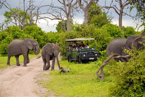 What to Pack for Your Botswana Safari – Discover Africa