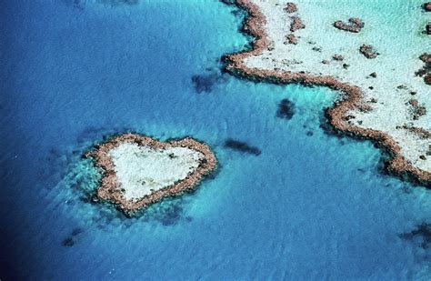 Aerial Of Heart-shaped Reef, Hardy by Holger Leue