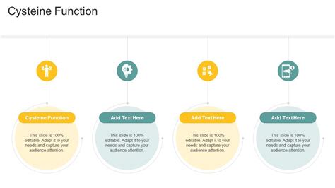 Cysteine Function In Powerpoint And Google Slides Cpb