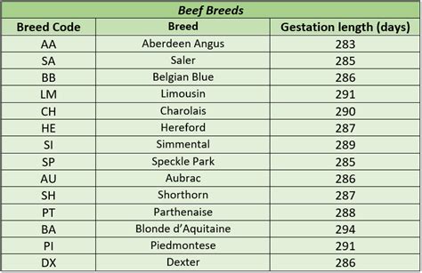 What Is the Average Gestation of a Beef Cow - Silva Nisquity