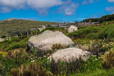 Premium Photo | Cevennes national park