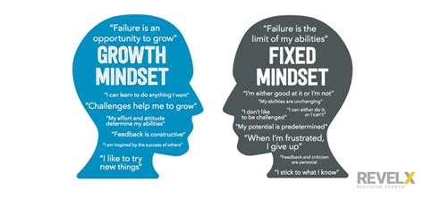 5 Growth Mindset Examples That You Can Use in Your Job Tomorrow ...