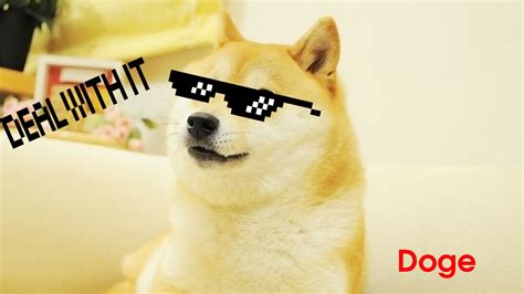 Doge Meme Wallpaper (85+ images)