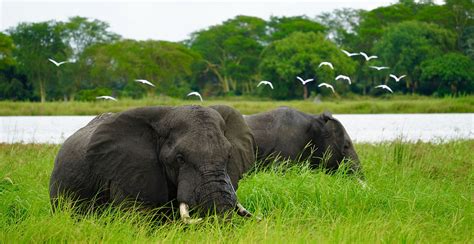 Lake Malawi National Park - WorldAtlas