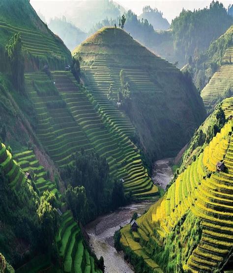 The rice terraces in the Northwest region of Vietnam called Mu Cang ...