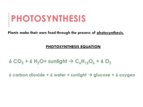 Chemosynthesis Formula