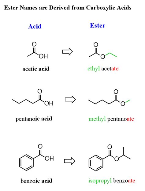 Ester Functional Group Examples