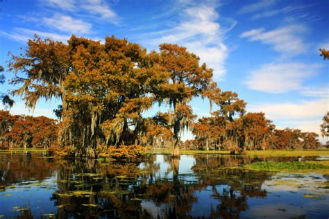 Atchafalaya Basin, Louisiana - meganotravels