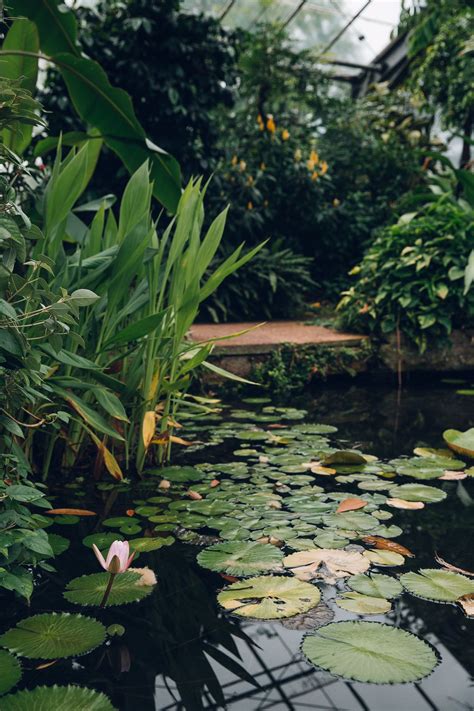 The University of Dundee Botanic Garden — Haarkon | Botanical gardens ...