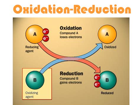 TASK 2: OXIDATION AND REDUCTION - PRINCIPLES IN BIOCHEMISTRY