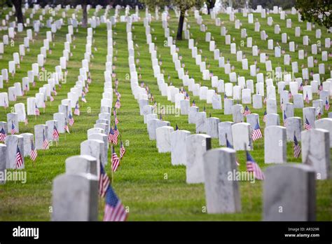 veterans cemetery on Veterans day with american flags on the graves ...