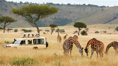 How to Plan an African Safari in the time of COVID 19