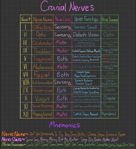 Mnemonic For Cranial Nerves Dirty