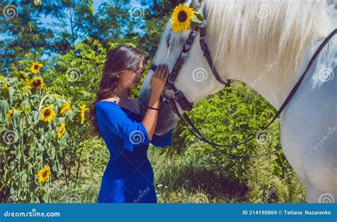 Animals and People Concept, Hobby, Horses Stock Image - Image of head ...