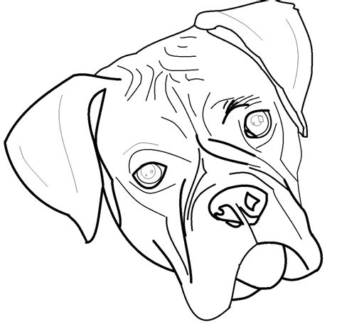 Boxer Dog Line Drawing at GetDrawings | Free download