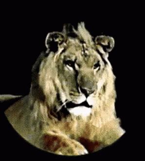 Mgm Lion Roar GIF - MgmLion Lion Roar - Discover & Share GIFs