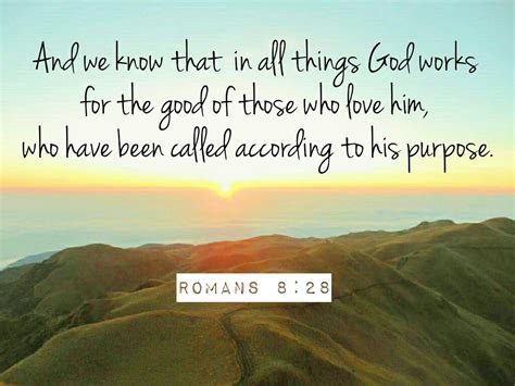 romans 8 28 - Google Search 2 Thessalonians, Colossians, Scripture ...