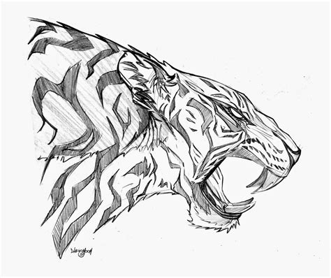 Roaring Tiger Drawing at GetDrawings | Free download