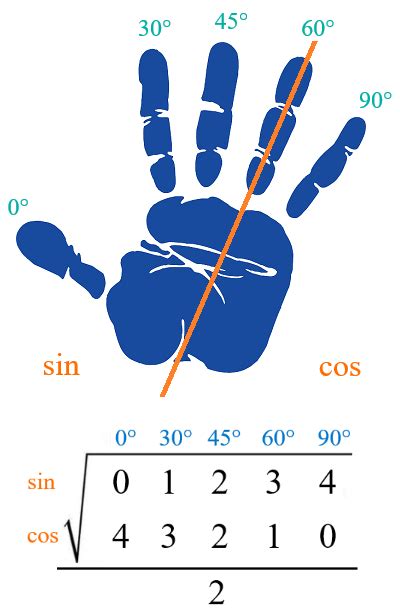 Trigonometric Hand Trick This is an easy way to remember the values of ...