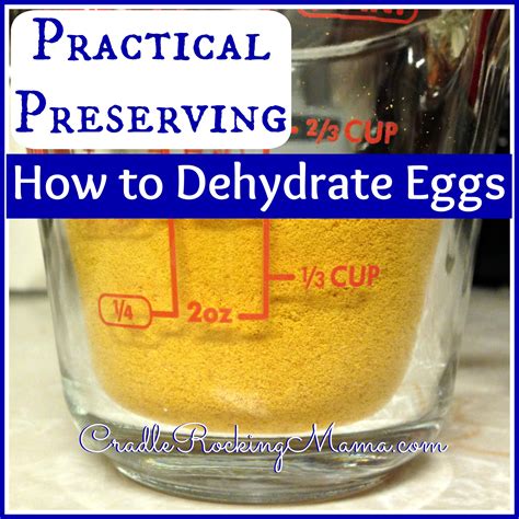 Practical Preserving: How to Dehydrate Eggs