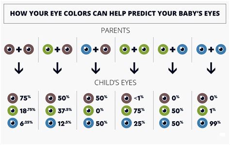 Eye Color Prediction Chart