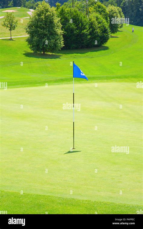 green grass of the golf course Stock Photo - Alamy